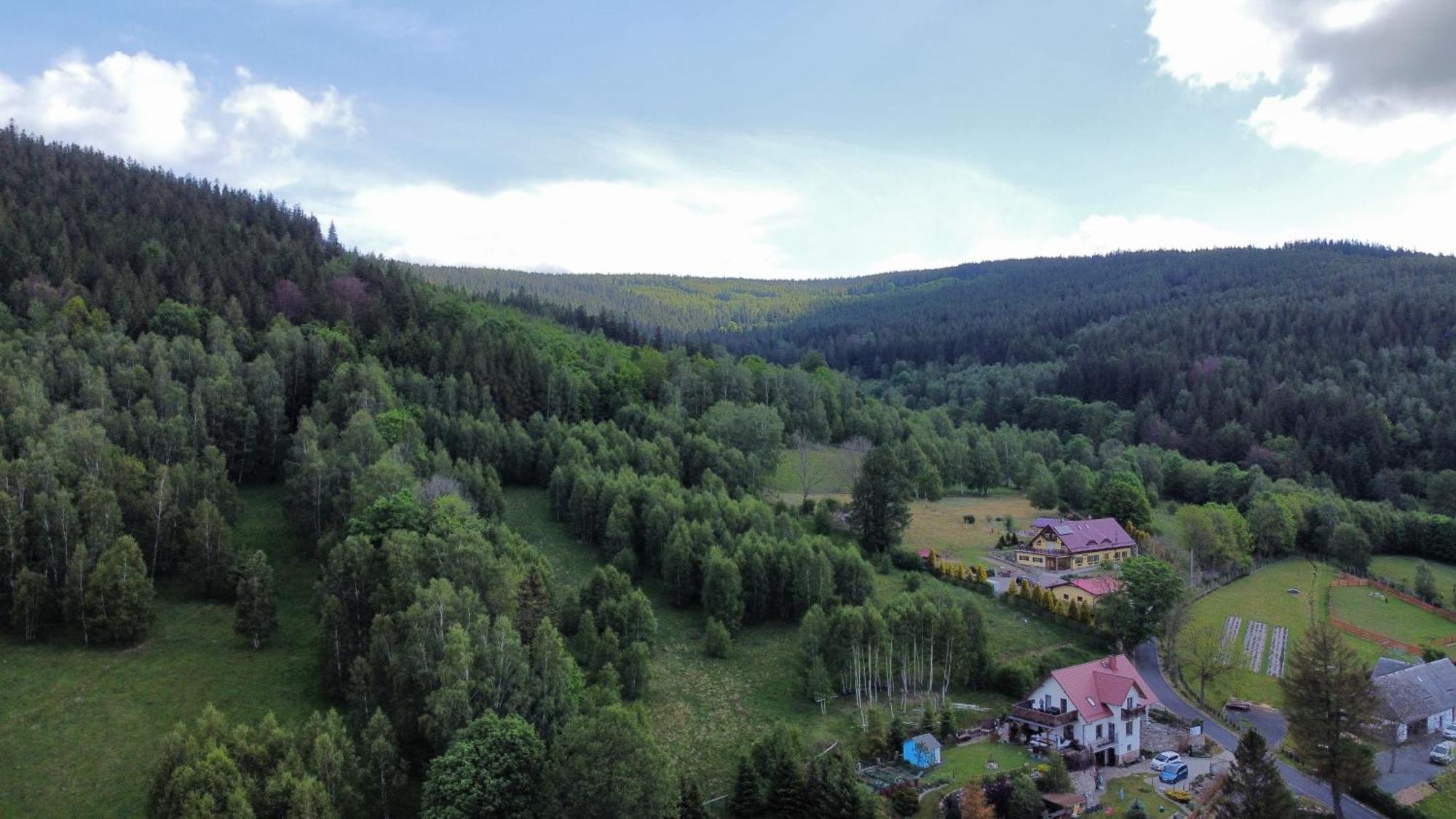 Strefa Ciszy -Lawenda Swieradow-Zdroj Exterior foto