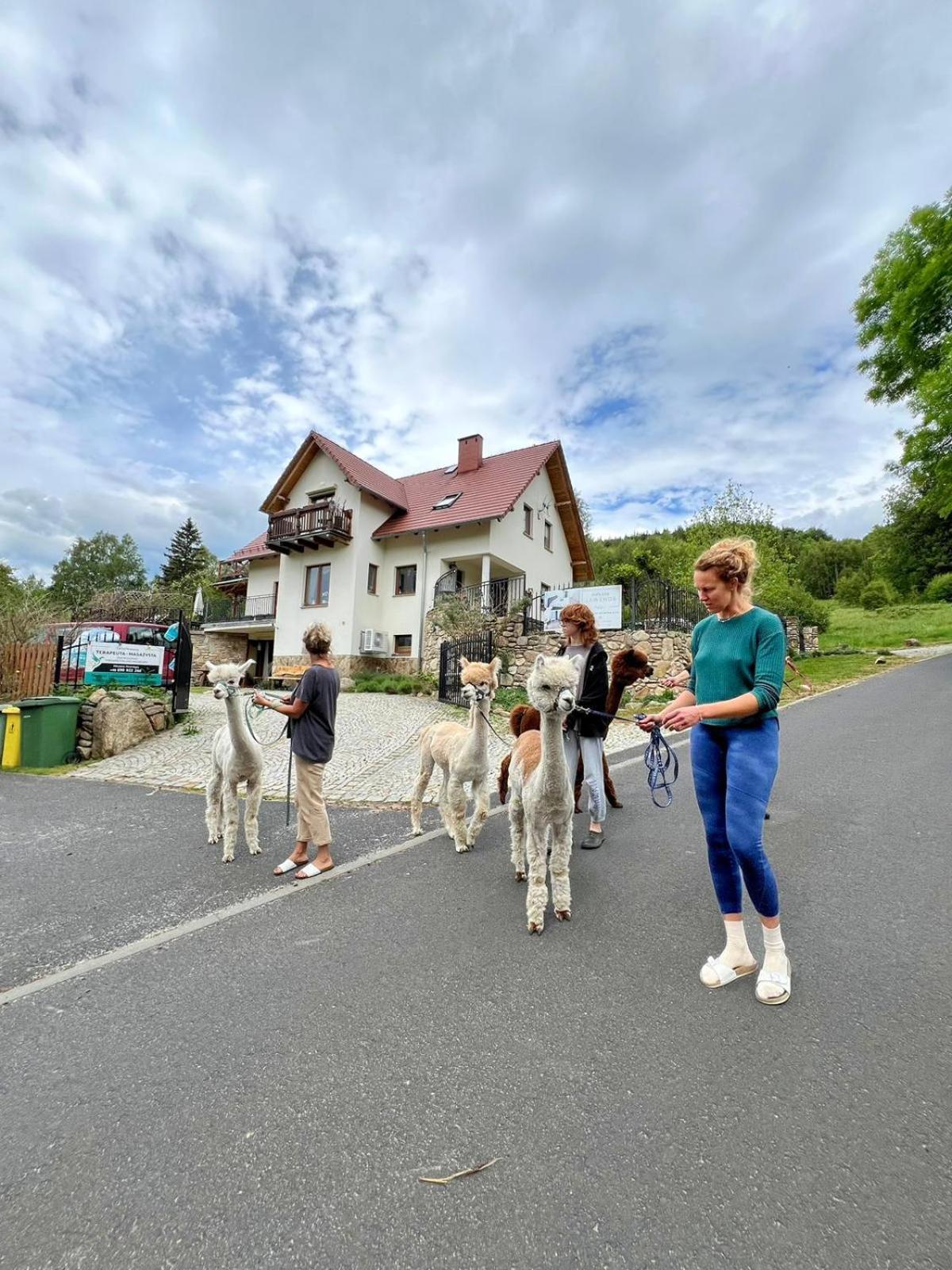 Strefa Ciszy -Lawenda Swieradow-Zdroj Exterior foto
