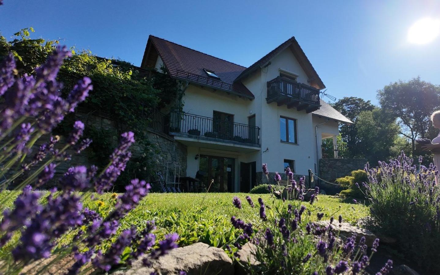 Strefa Ciszy -Lawenda Swieradow-Zdroj Exterior foto